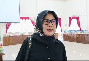 Legislator Barsel Memberikan  Program Peningkatan Kreatifitas Pemuda Terus Dikembangkan