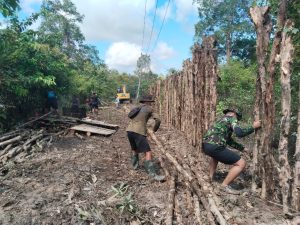 TMMD Ke-124 Kodim 1012/Buntok Pasang Cerucuk Kayu untuk Perkuat Pembukaan Jalan di Lahan Gambut