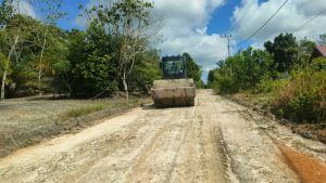 Alat Berat Wales Mulai Lakukan Pemadatan Jalan di Desa Wungkur Baru